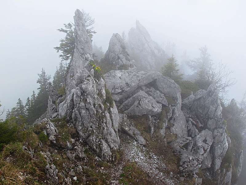 Bleikigrat im Nebel