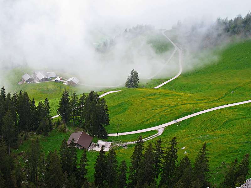 Farbige Wiesen und viel Nebel