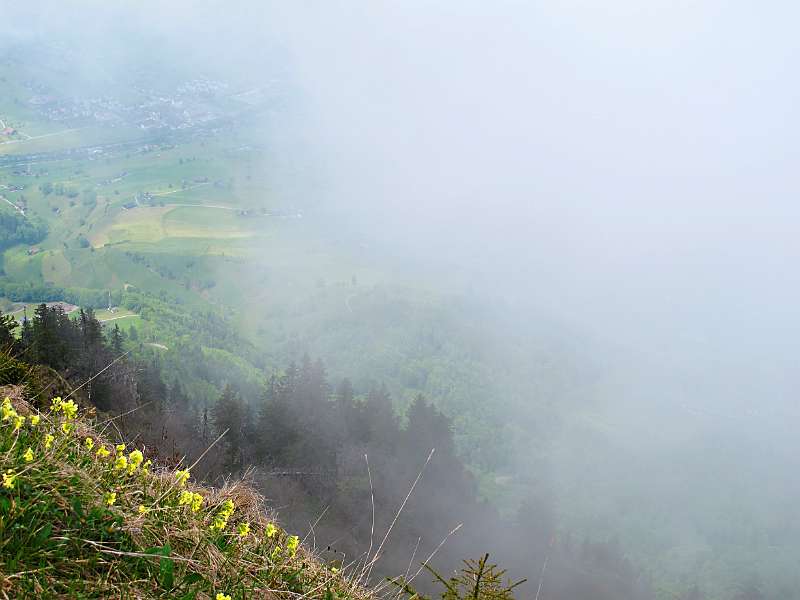 Alles leider im Nebel