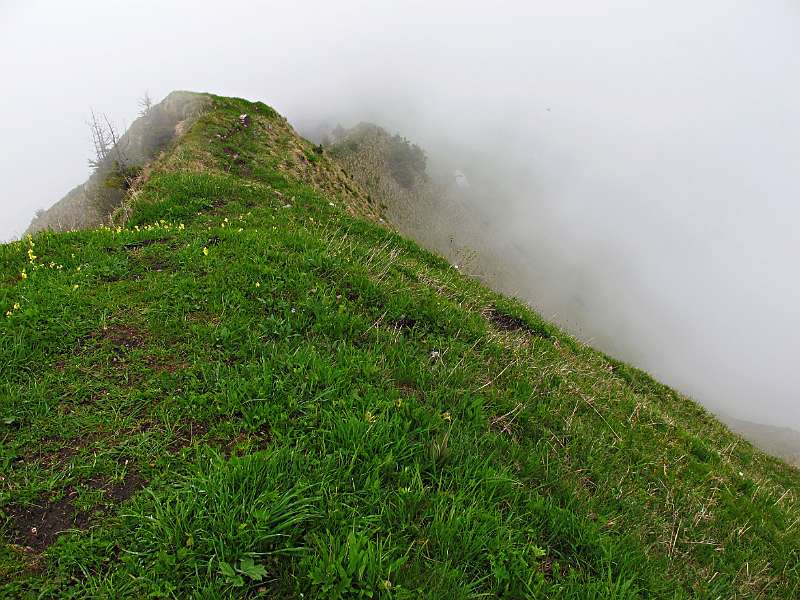 Die Wanderroute Richtung Buochs