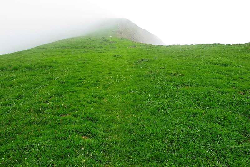 Der Hang von Buochserhorn