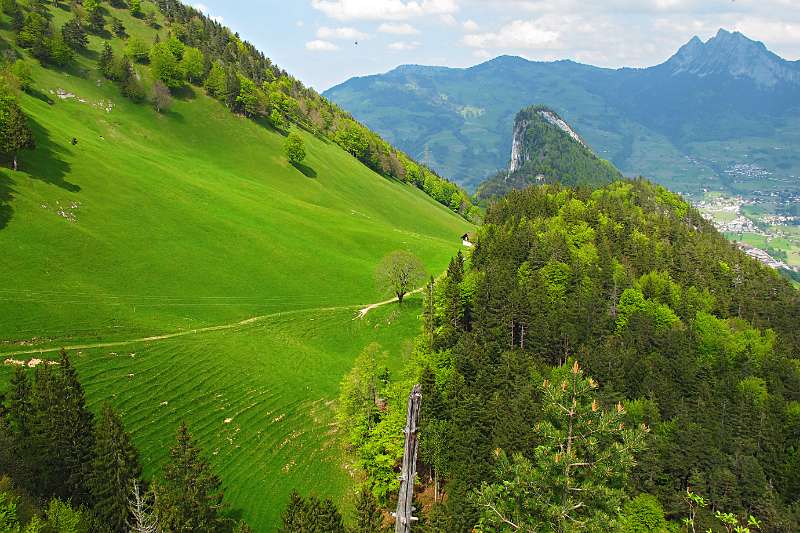 Schöne grüne Hänge und markante Zünggelenflue weiter