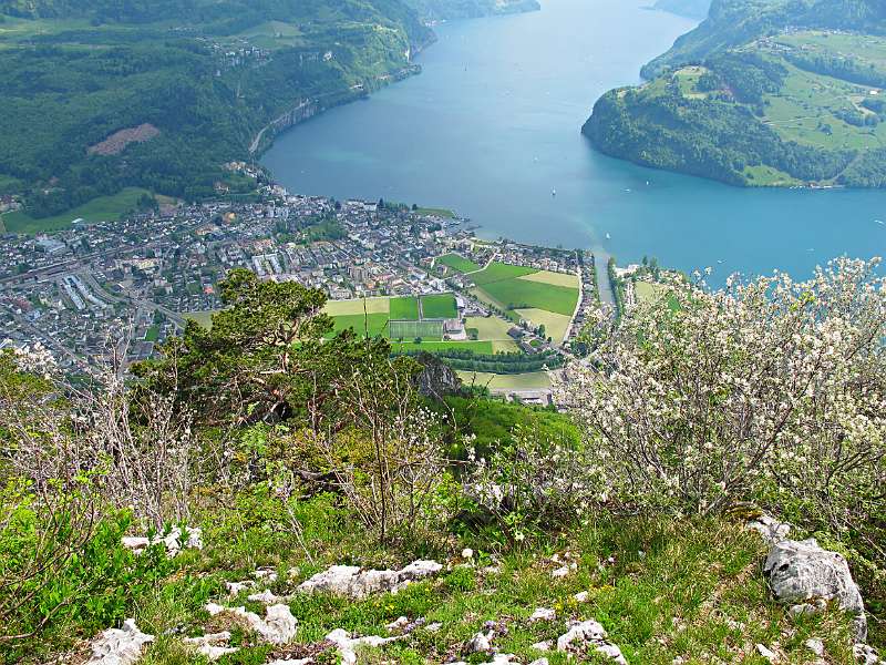 Unten ist Brunnen und weiter Urnersee