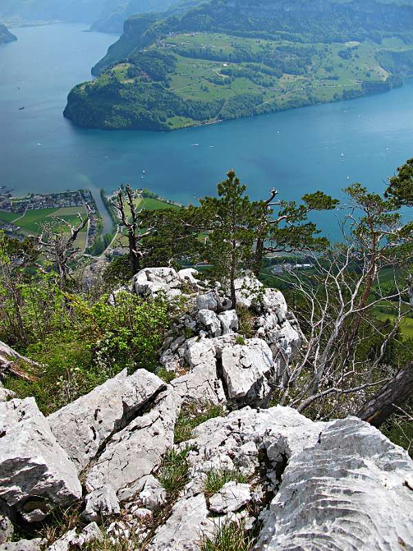 Urner- und Vierwaldstättersee von Stockflue aus