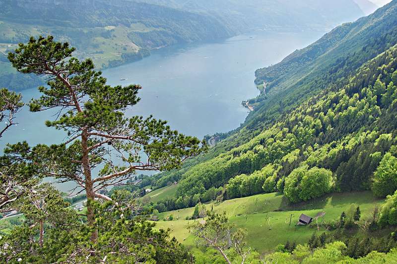 Vierwaldstättersee von Stockflue aus