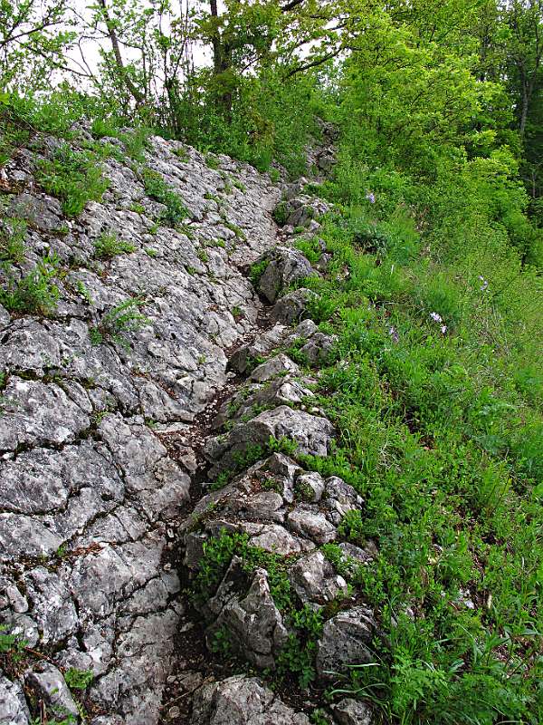 Wanderweg auf dem Rücken von Lägern