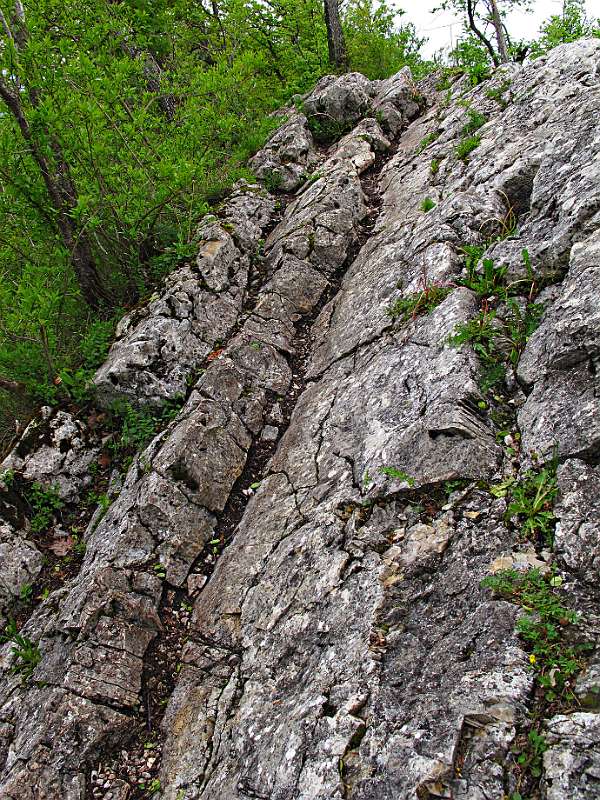 Wanderweg auf den Lägern