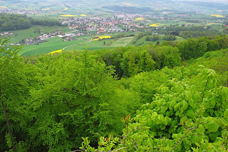 Gelb-Grüne Farben des Frühlings von Lägern aus