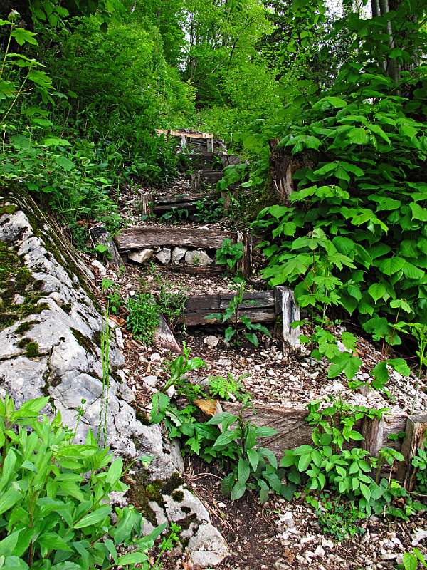 Treppen-Abstieg von Lägern Richtung Wettingen