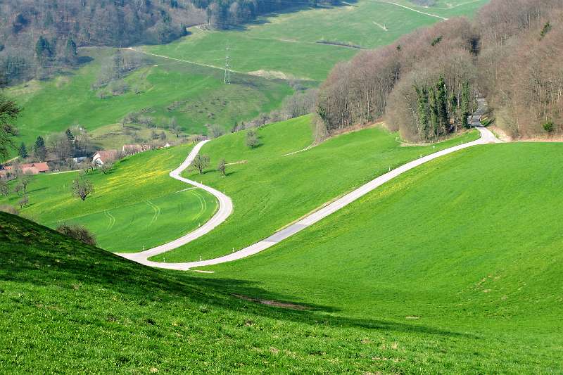 Die Strasse schlingelt zwischen grünen Wiesen