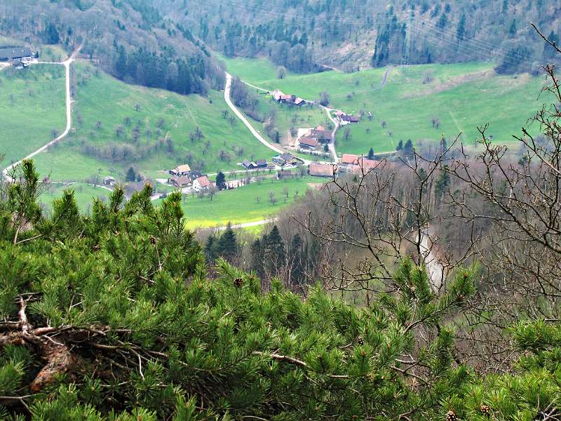 Rohr von Rohrerplatte aus