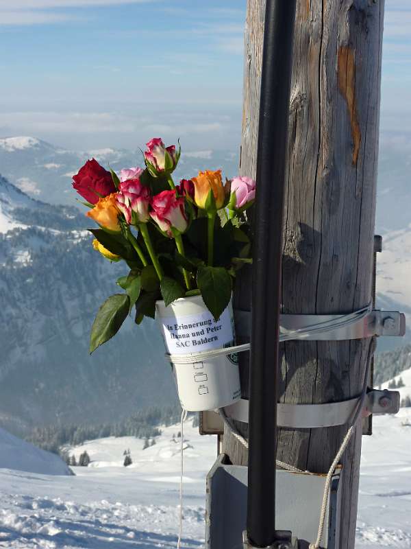 Auf dem Gipfel von Rütistein