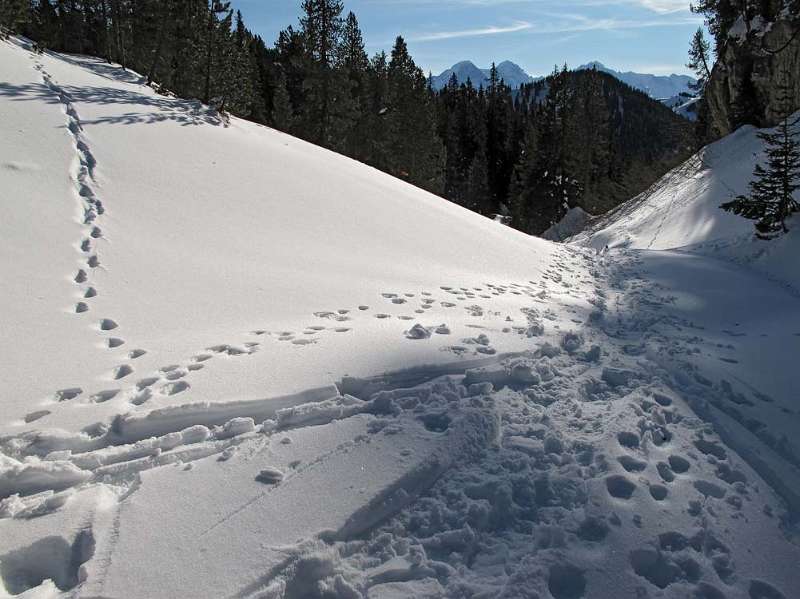 Perfekte Schneeverhältnisse