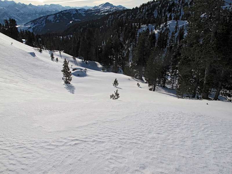 Verschneite, ruhige Winter-Landschaft