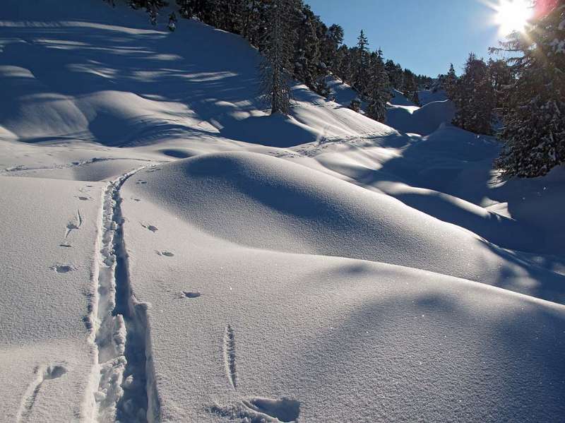 Pulverschnee auf sehr gute Unterlage