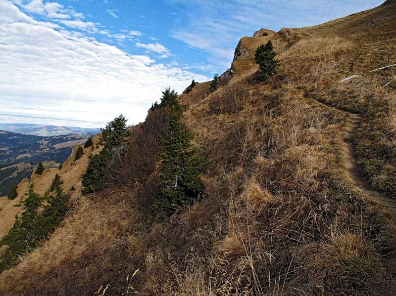 Gemütlicher Wanderweg auf dem Federigrat