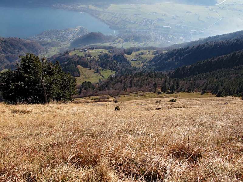 Wesen am Walensee von Federispitz aus