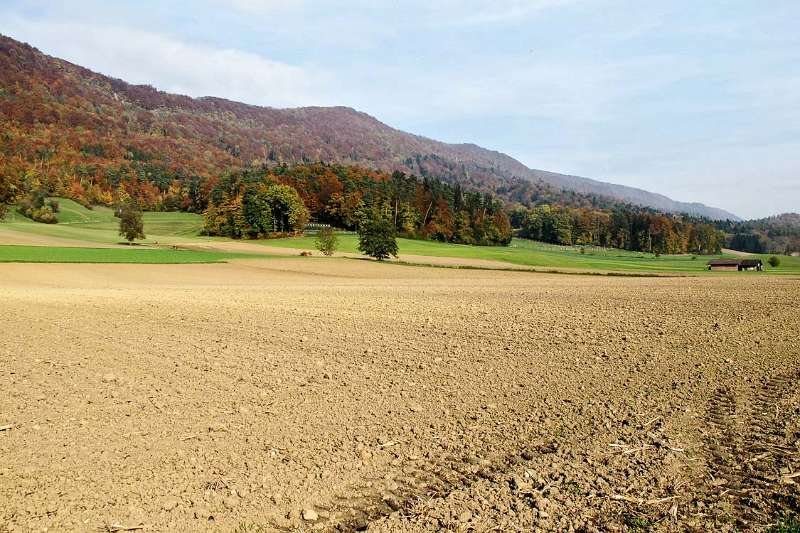 Der Herbst am Fuss von Lägern