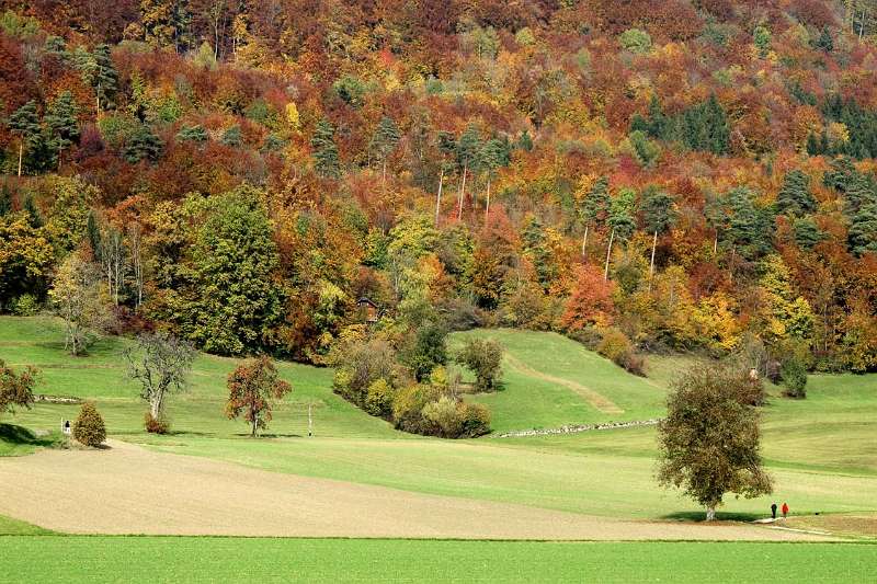 Der Herbst am Fuss von Lägern