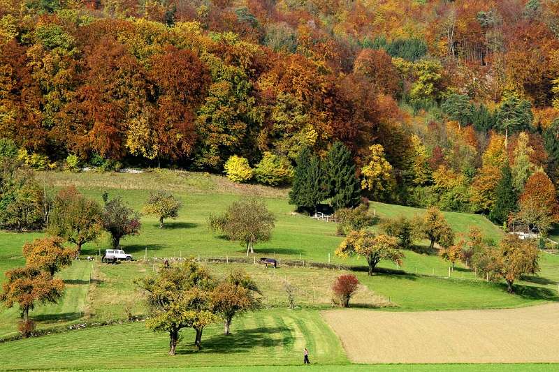 Der Herbst am Fuss von Lägern