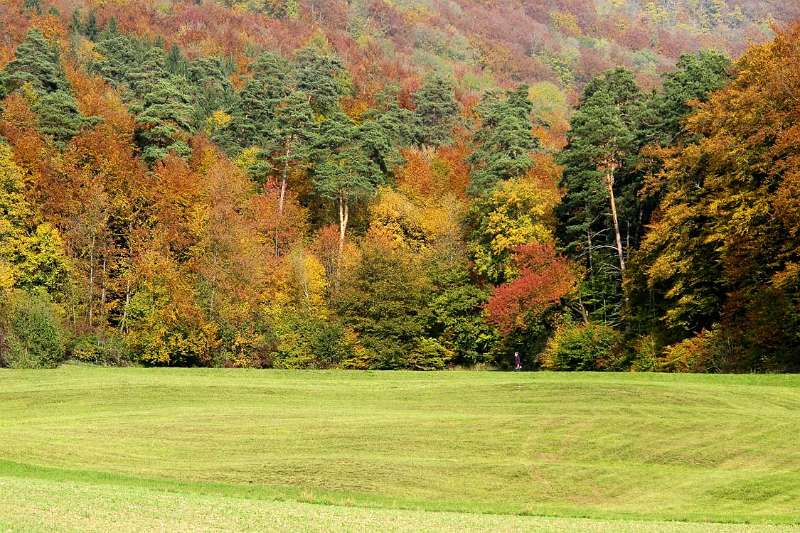 Der Herbst am Fuss von Lägern