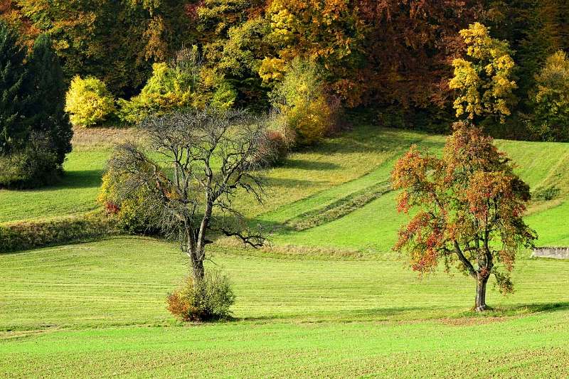 Der Herbst am Fuss von Lägern