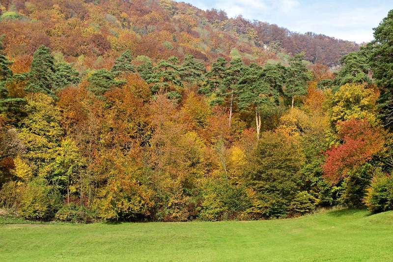 Der Herbst am Fuss von Lägern