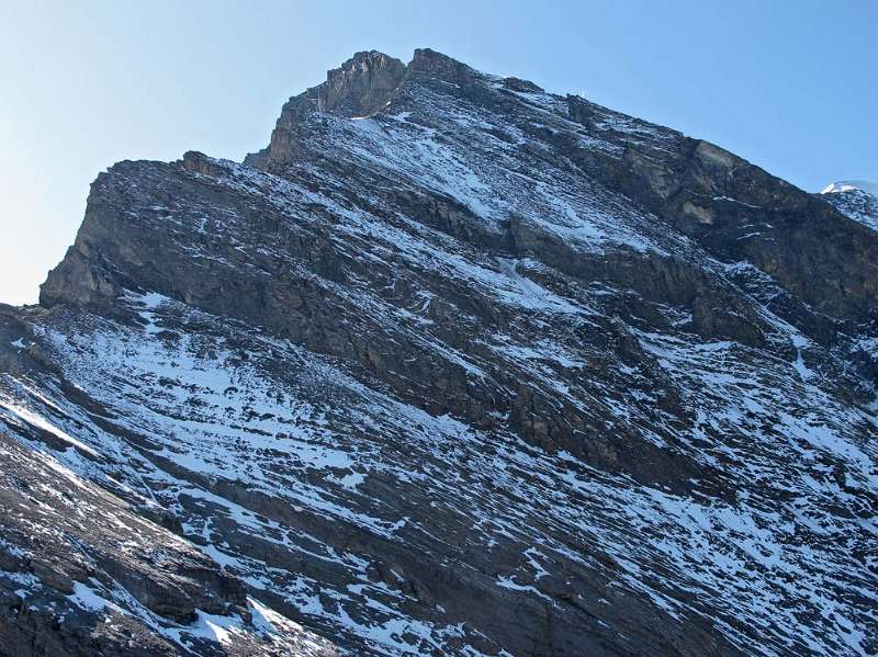 Wildelsigegrat führt zum Balmhorn