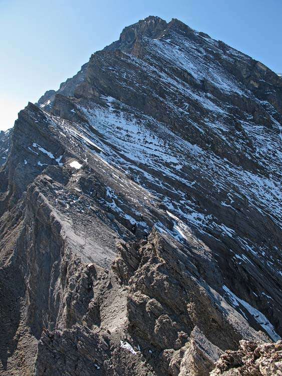 Die Route zum Balmhorn über Wildelsigegrat