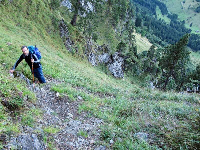 Auf dem Bärenpfad