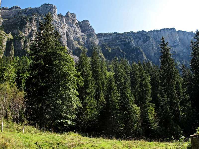 Blick auf Bärenpfad von der Strasse in Justistal