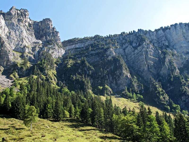 Blick auf Bärenpfad von der Strasse in Justistal