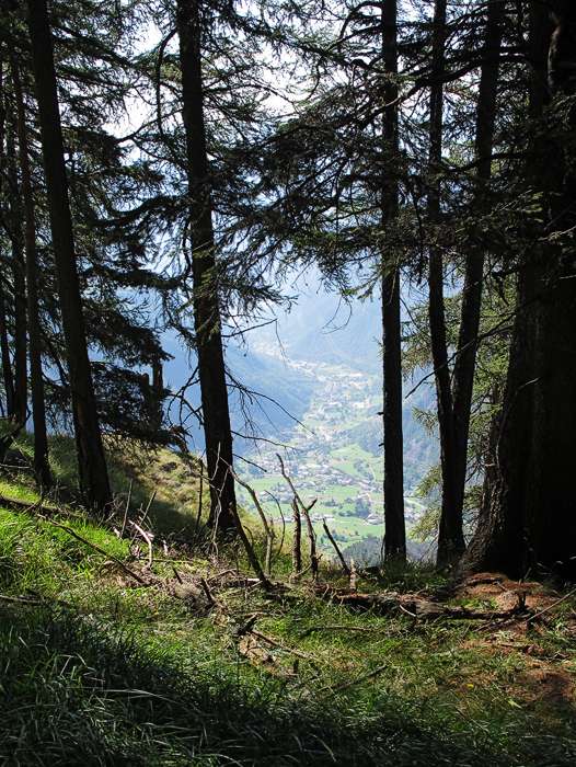 Der unterer Teil von Val Poschiavo