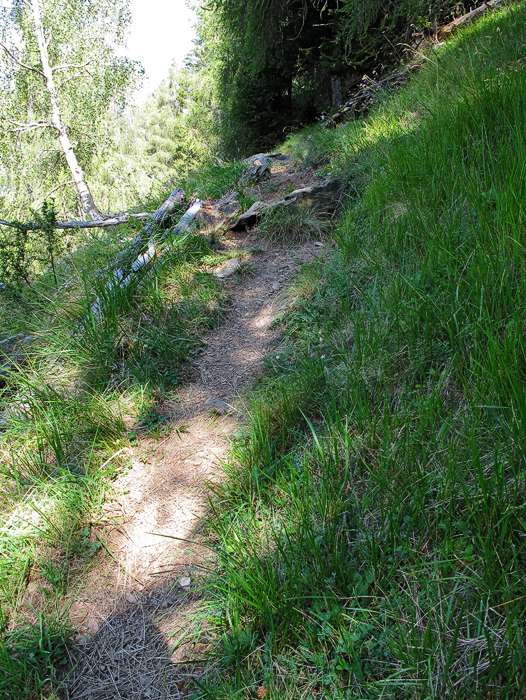 Gemütlicher Wanderweg im wald