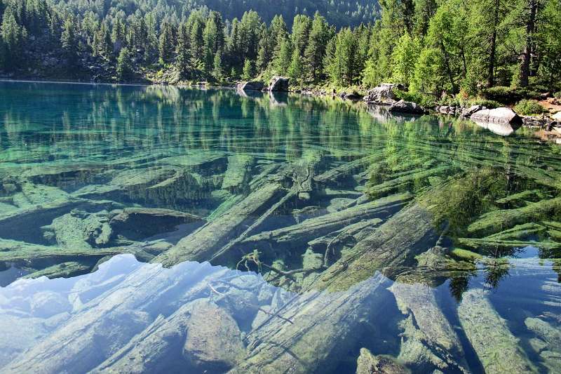 Klares Wasser und die versunkene Bäume im See