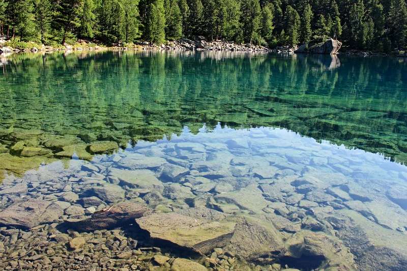 Die Waldkonturen widerspiegeln sich im Lagh da Saoseo