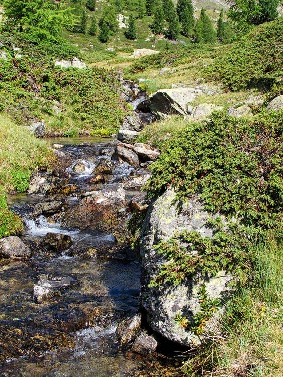 Kleiner Bach läuft in den Lagh da Val Viola