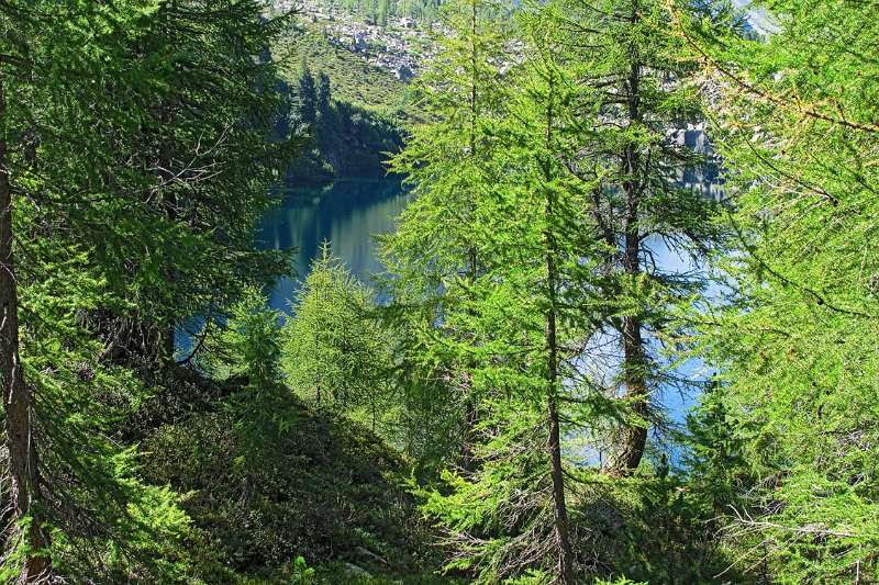 Blaues Auge von Lagh da Val Viola