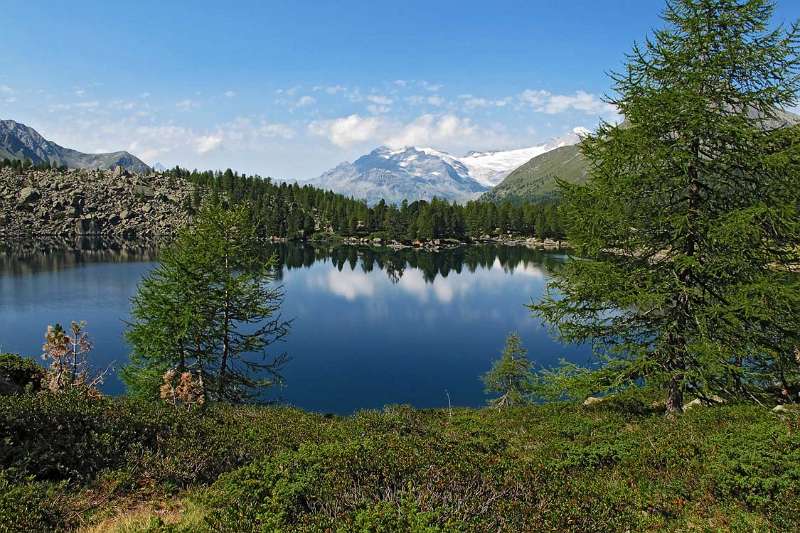 Berninagebirge mit Lagh da Val Viola im Vordegrund