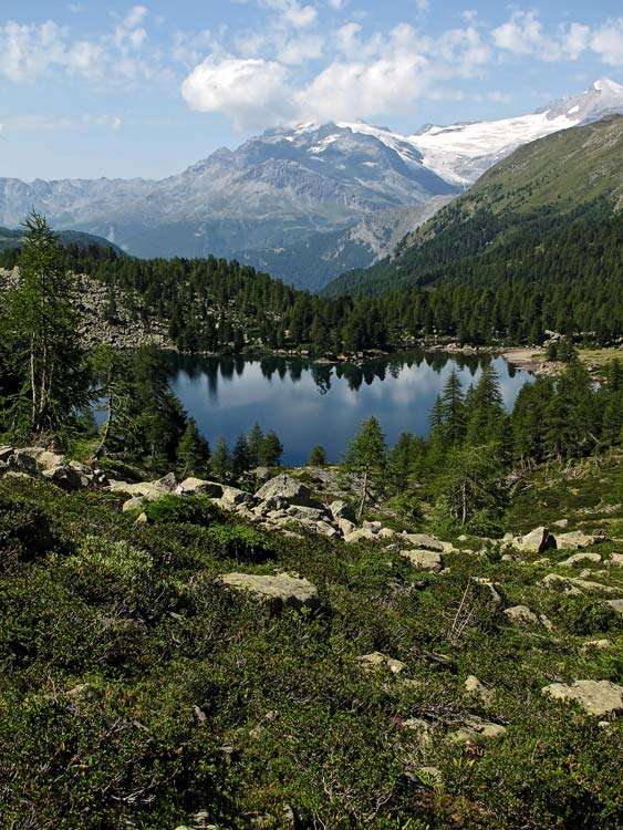 Berninagebirge mit Lagh da Val Viola im Vordegrund