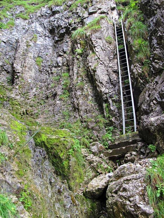 Die Route über die Leiter