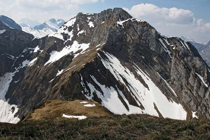 Schiberg