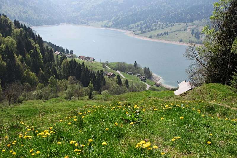 Bald wieder zurück zum Start