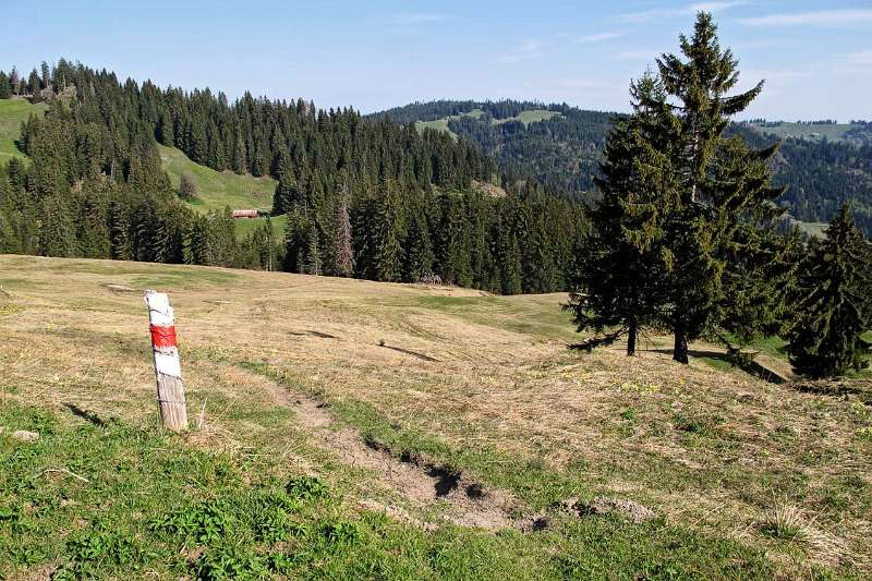 Die Weiden sind noch braun und keine Tiere