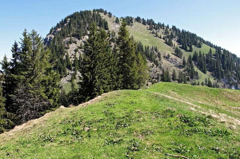 Blick Richtung Gross Aubrig