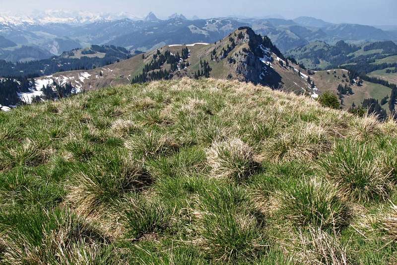 Blick Richtung Chli Aubrig