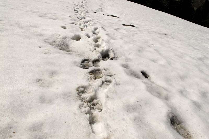 Es gab sogar ein paar Schnee-Flecken