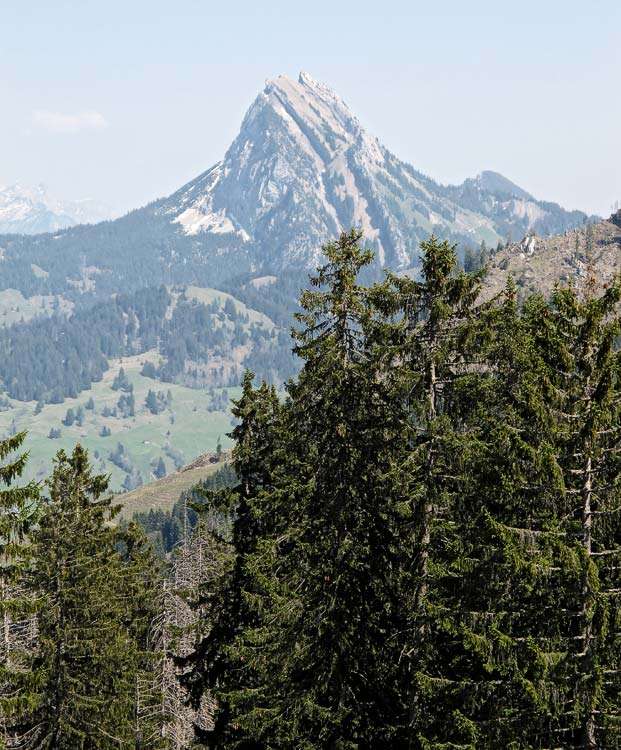 Sehr schöner und markanter Berg - Chöpfenberg. Es gibt eine nicht