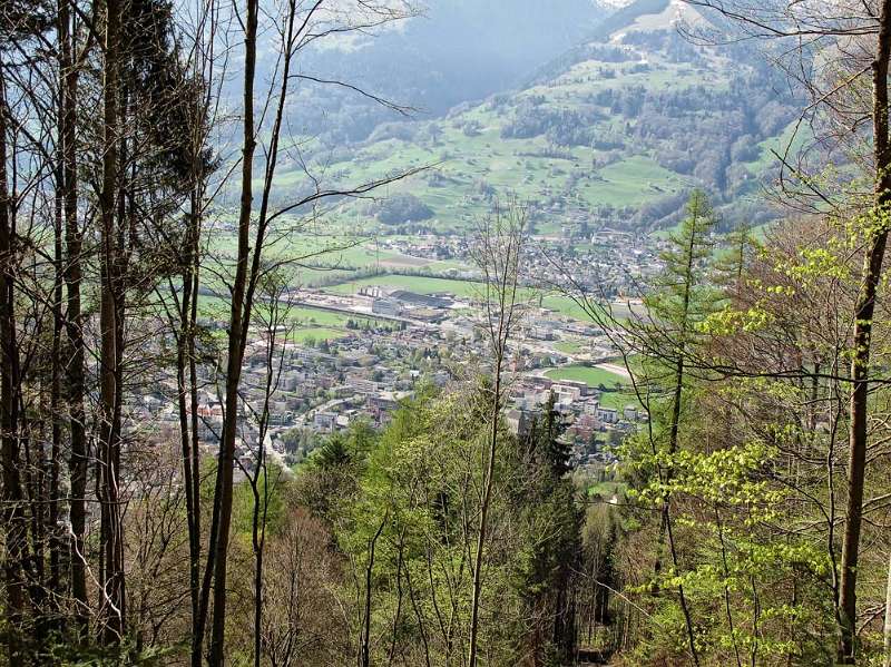 Blick durch die Lichtung auf Sargans