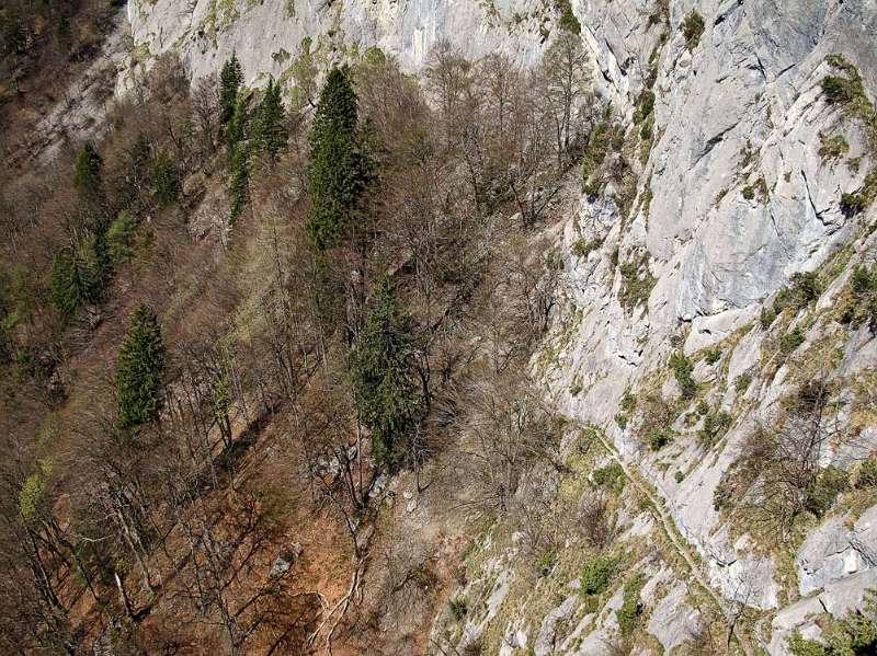 Der Wanderweg von oben